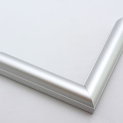 This simple metal picture frame in frosted silver has a smooth finish and curved profile. 

.875 " width: ideal for small, medium or large artworks. Easily frame photographs, thicker cloth or needlework art, or even Giclée canvas prints.