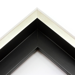 This unique floater frame for stretched canvas features a narrow, 0.5 " face that falls into a steep reverse slant toward the outer edge of the frame.  The modern style is finished in frosted silver on the face and outer edge.

Ideal for mounting medium to extra large, thick (1.5 " deep) gallery wrapped canvas portraits, paintings or Giclée prints. The canvas will extend slightly farther than the face of the frame. 

*Note: These solid wood, custom canvas floaters are for stretched canvas prints and paintings, and raised wood panels.