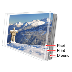 Whistler Face Mounting Prints On PlexiGlass